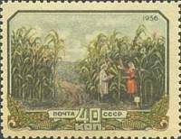(1956-091) Марка СССР "Кукурузное поле"    Сельское хозяйство в СССР II Θ